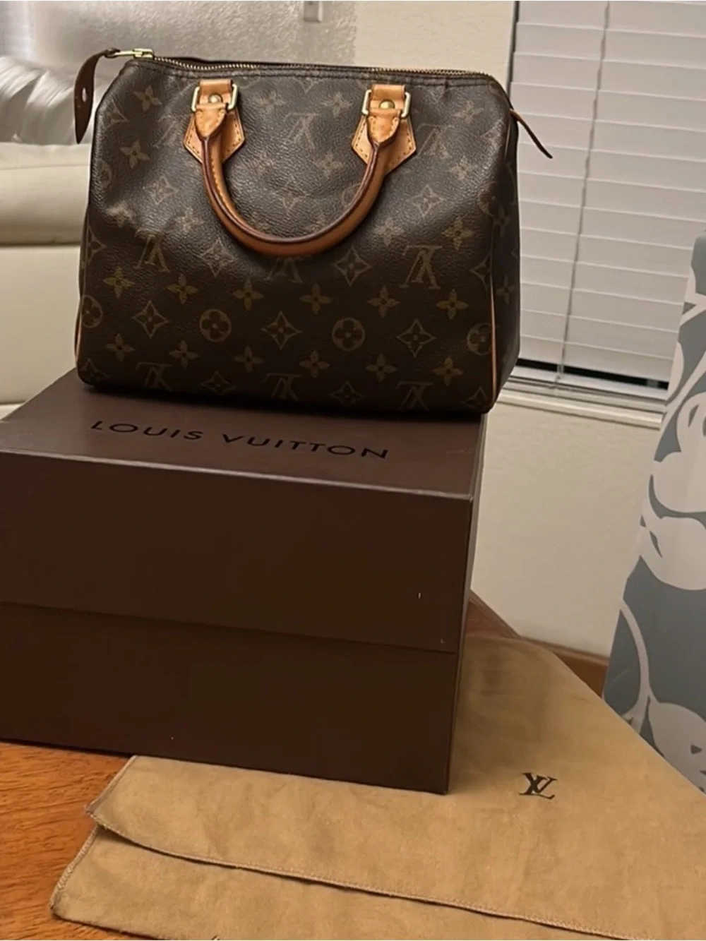Louis Vuitton Speedy 25 monogram
